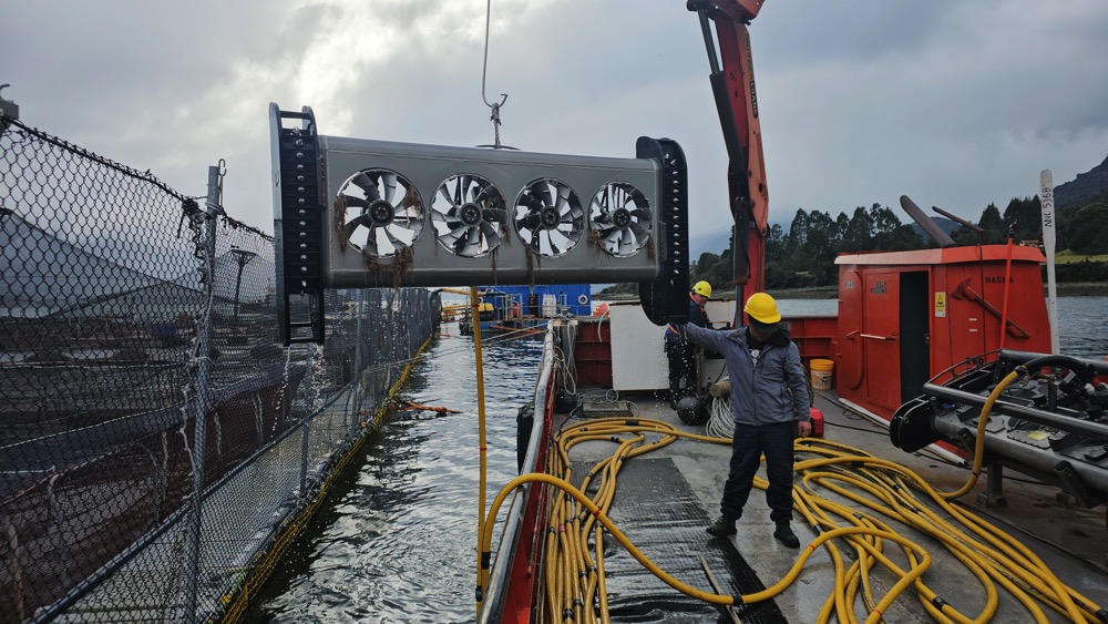 Lindgren-Pitman 20261002 Stingray in air 2 deck.jpg